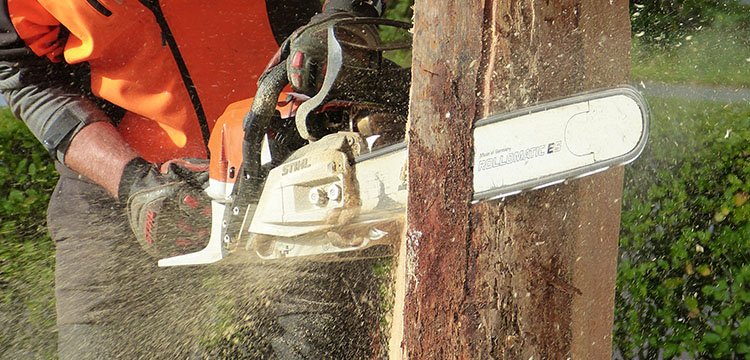 The Best Chainsaws: Ultimate Buyer’s Guide
